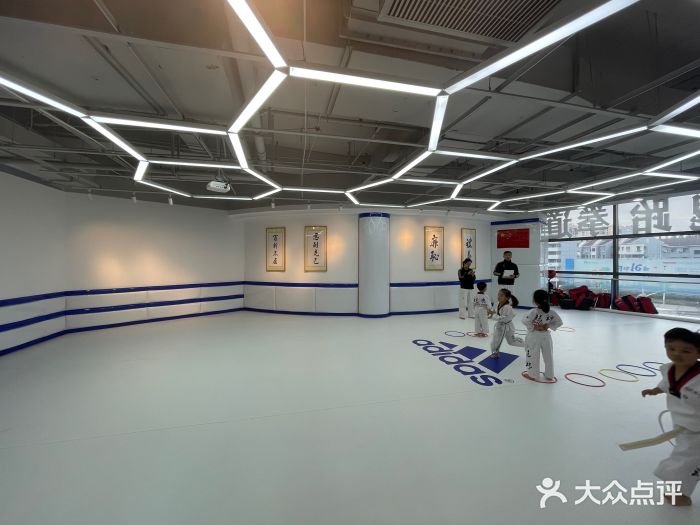adidas龙魂跆拳道(七宝店-图片-上海学习培训-大众点评网