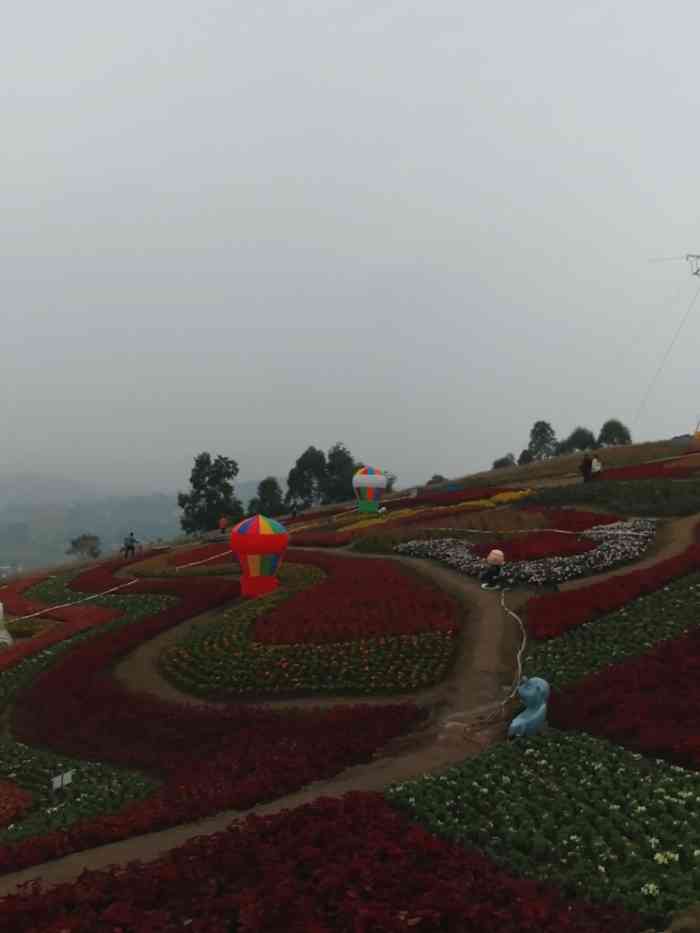 彩山四季花海景区