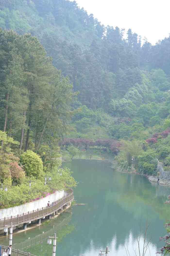 青云湖森林公园-"喜欢这个公园,在都匀市区,但平时游.