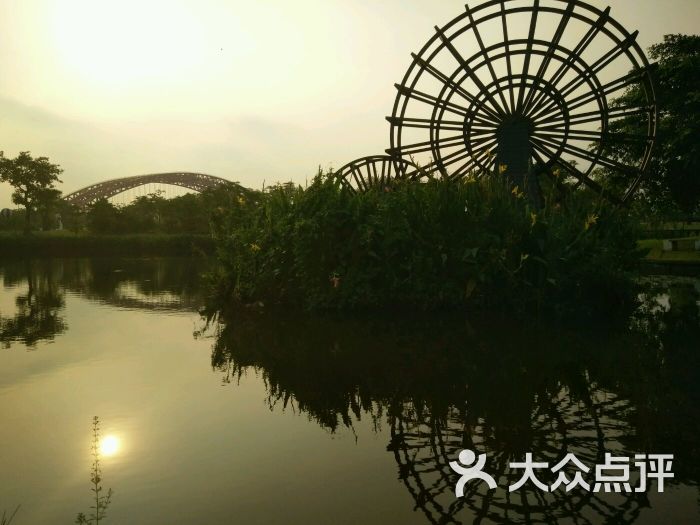 龙湾湿地公园-图片-东莞周边游-大众点评网