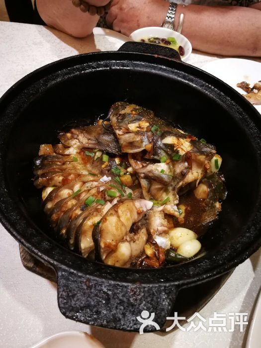 旱蒸剑骨鱼