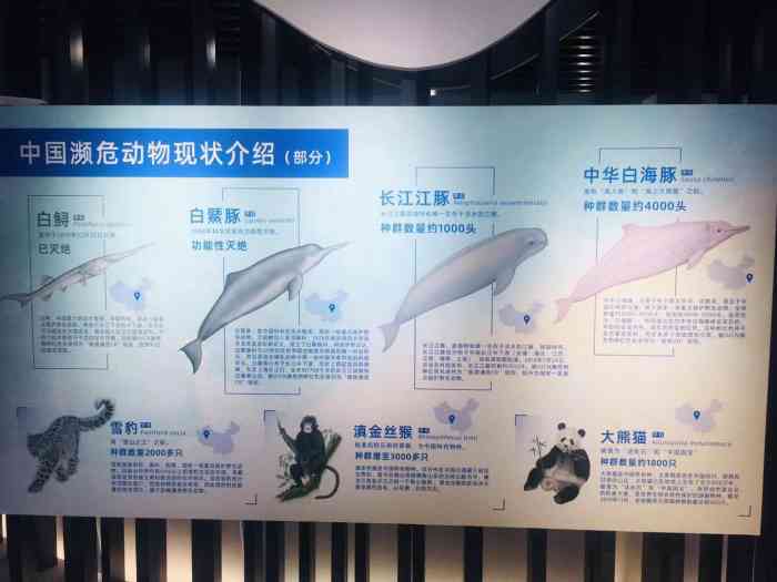 长江江豚科教中心-"寓教于乐,从老师对于江豚的介绍,.