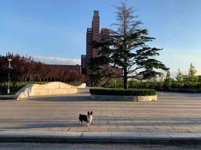 中国农业大学(烟台校)