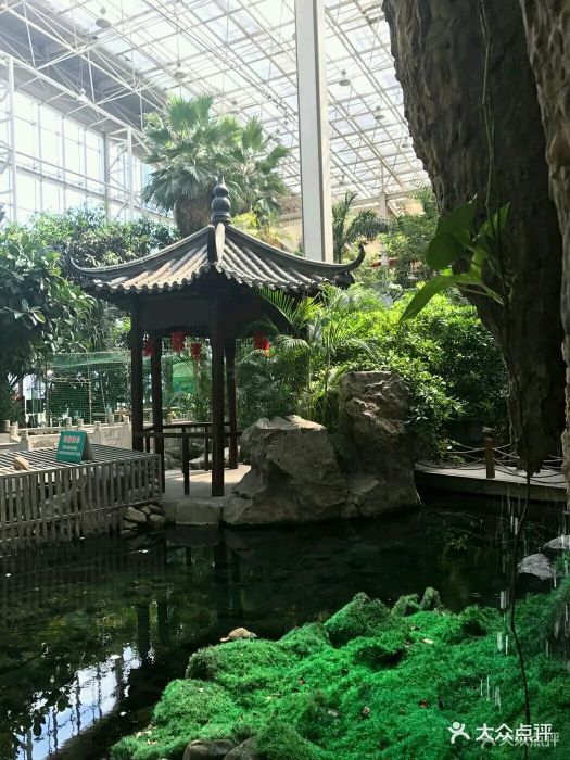 北大荒唐都生态园图片 - 第98张