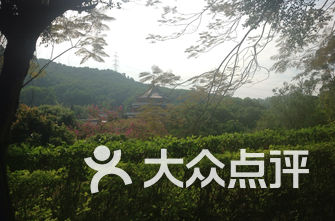 农庄排名_农庄大门(2)