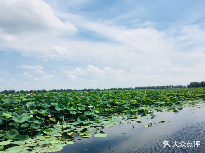 沈阳仙子湖图片 - 第2张