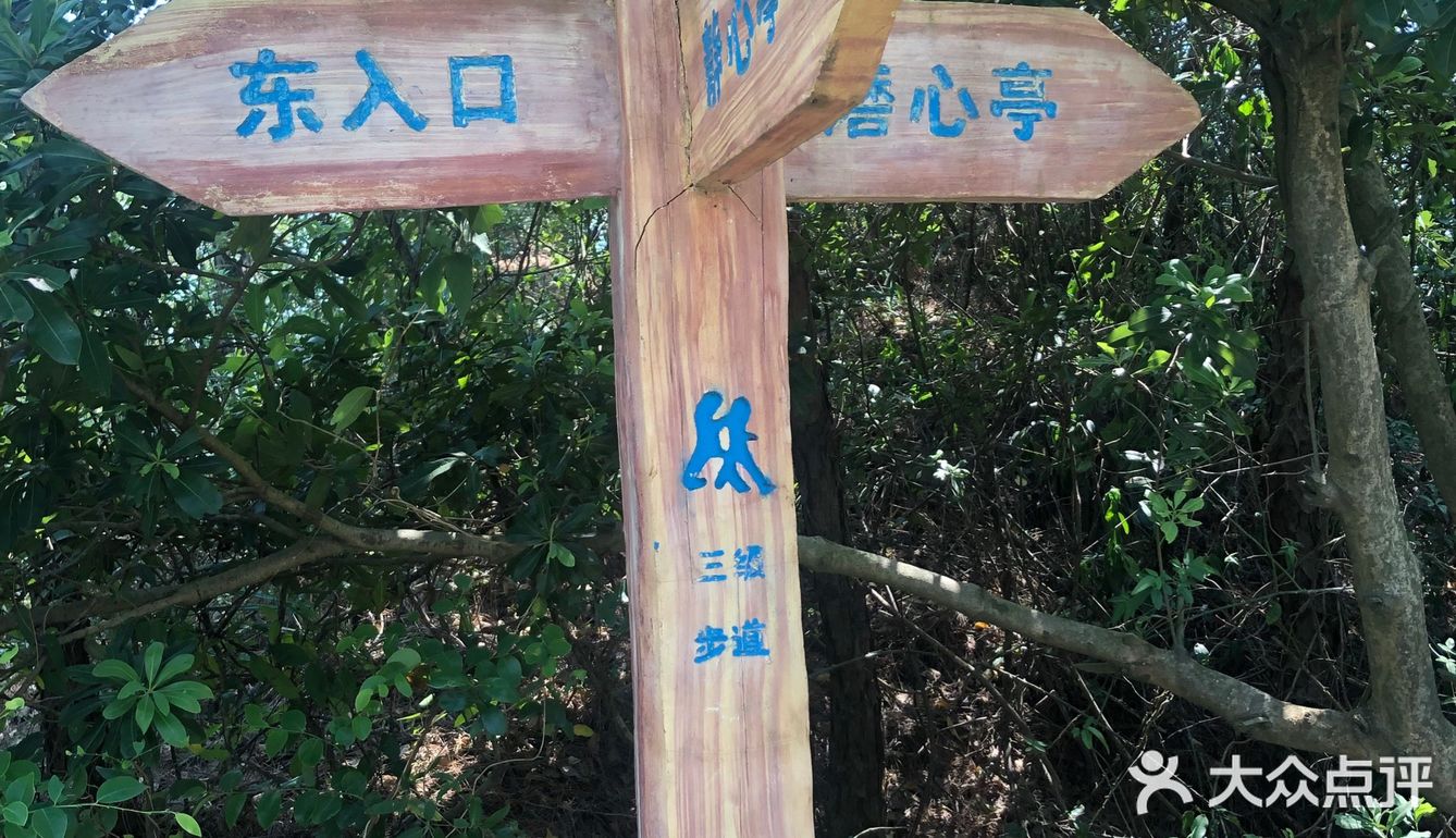 厦门磨心山