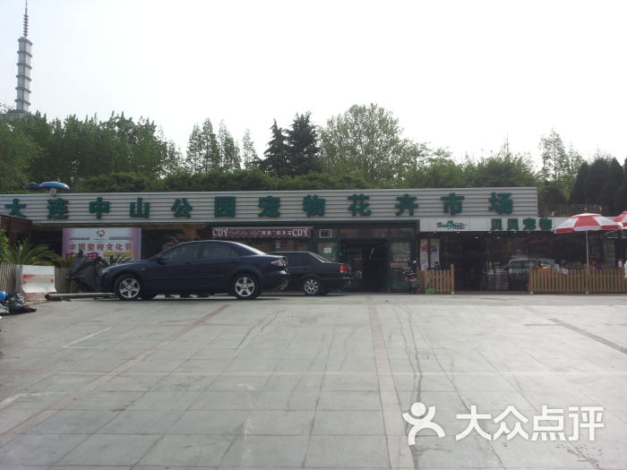 大连中山公园宠物市场图片 - 第1张
