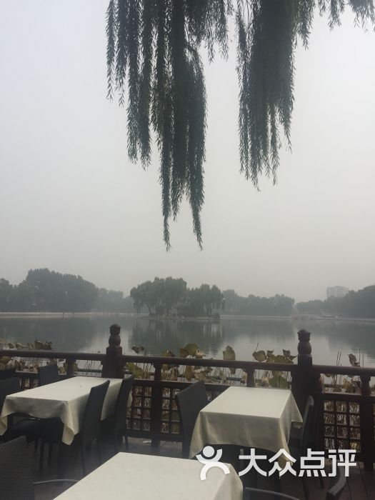 荷花市场-图片-北京周边游-大众点评网