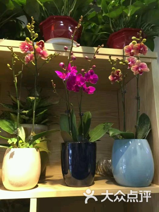 信心花舍-图片-长沙购物-大众点评网