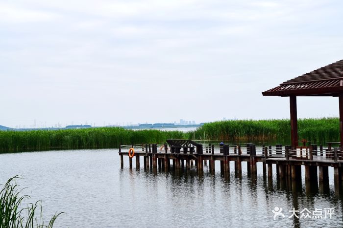 苏州太湖湖滨国家湿地公园图片 - 第777张