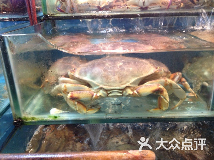 海鲜码头生态园大酒店_大连渔公码头海鲜礼盒_海鲜码头