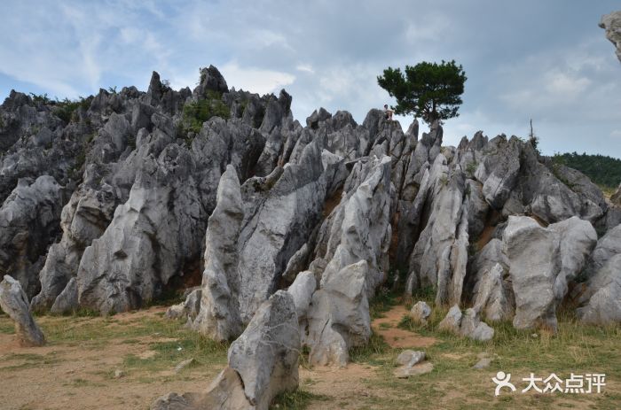 千野草场景区图片