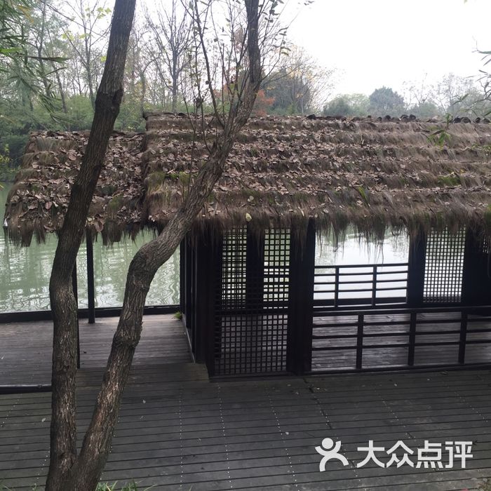 泊庵  