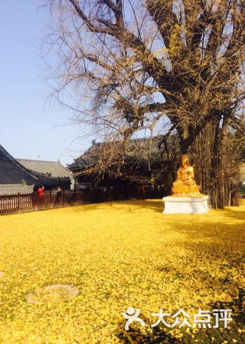 终南山观音禅寺-图片-西安周边游-大众点评网