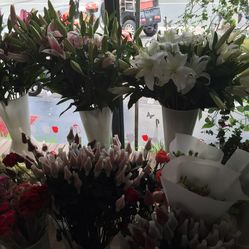 贵阳可可花艺景观工程有限公司【官网】德信官方网站