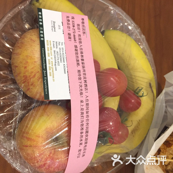 青皮树酒店