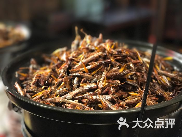 油炸蚱蜢