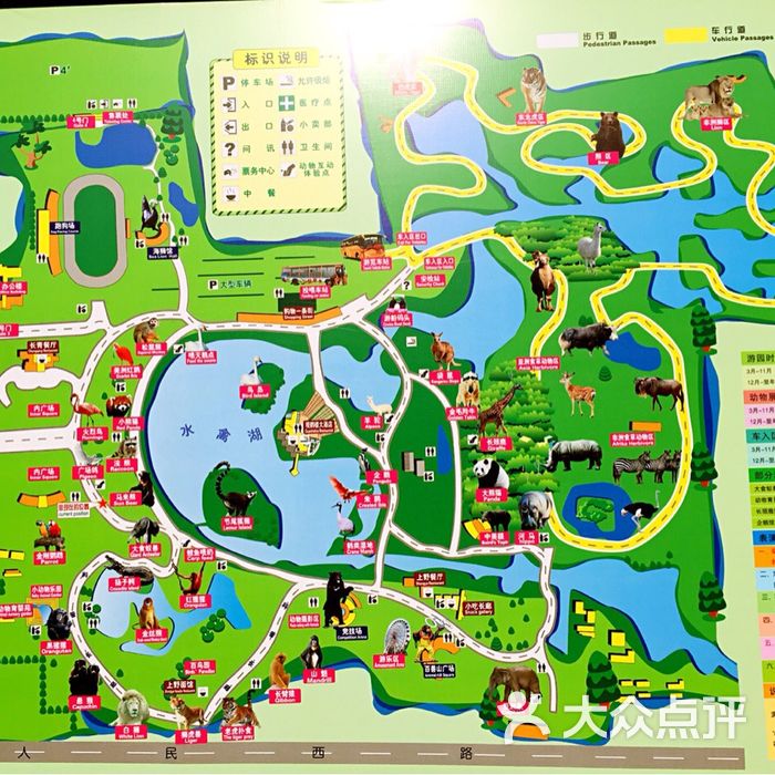上海野生动物园低头图片-北京动物园-大众点评网