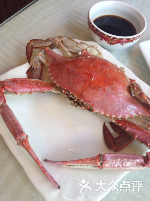 北塘集装箱海鲜街_北塘古镇导览图_河东北塘海鲜