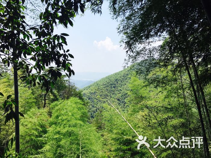 莫干山风景区图片 - 第106张