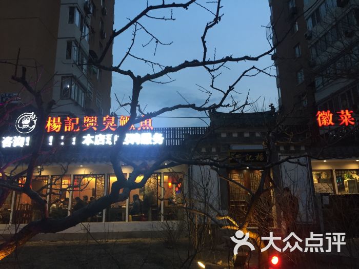 杨记兴臭鳜鱼(西坝河店)- 图片