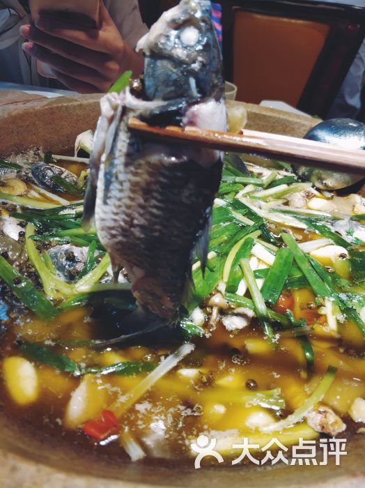 鑫珑村石锅土鲫鱼(洋河店)图片 第1张