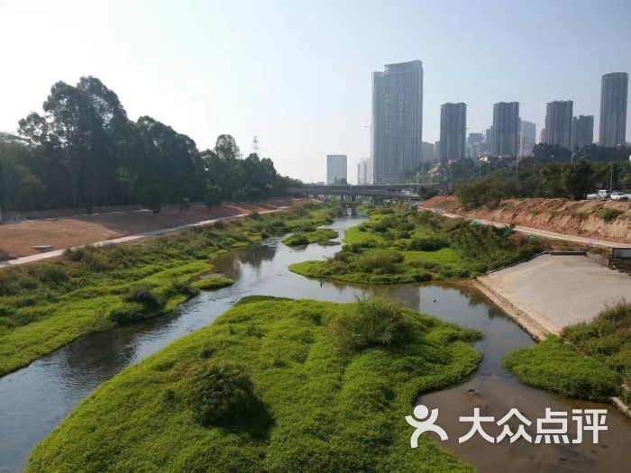 大沙河公园图片 - 第1张