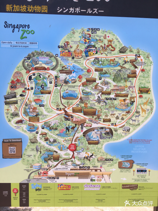 新加坡动物园-地图图片-新加坡休闲娱乐-大众点评网