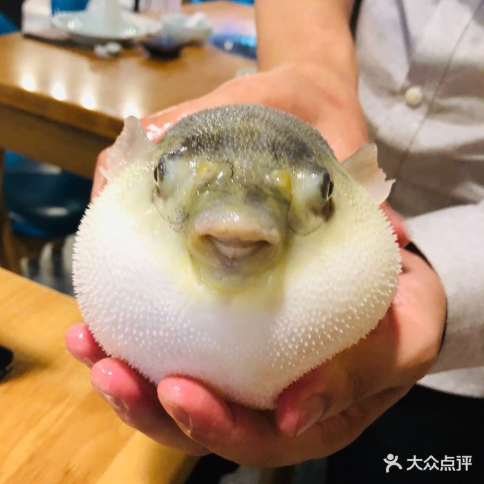肆月河豚·河豚自助(龙德广场店)图片 - 第752张