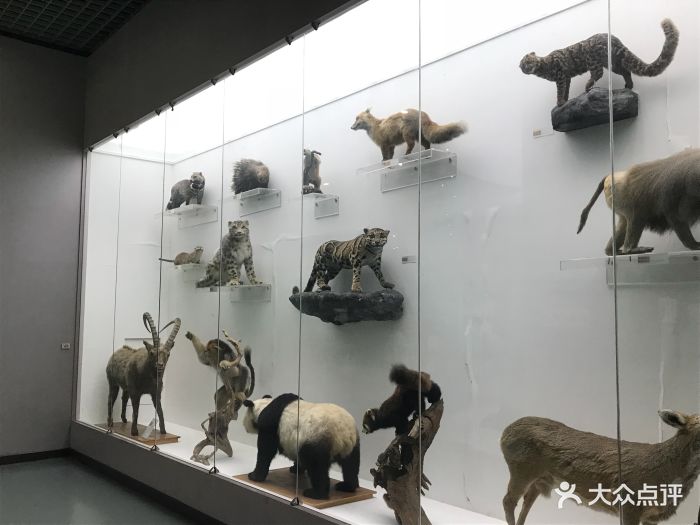 北京自然博物馆图片 第663张