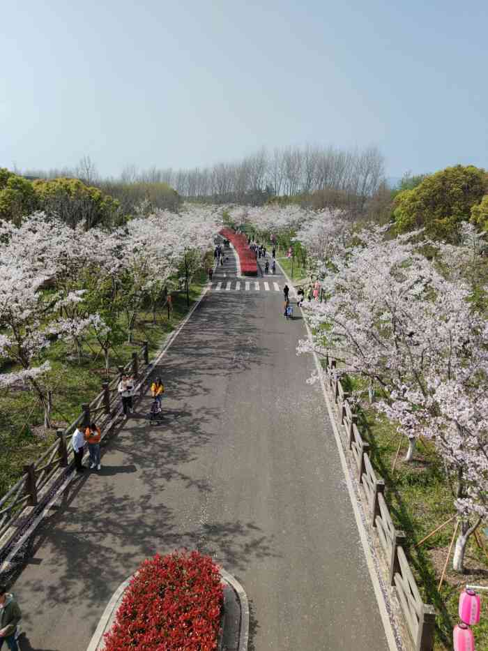 苏州湖畔花语景区-"周日带着小朋友一起去湖畔花语,因