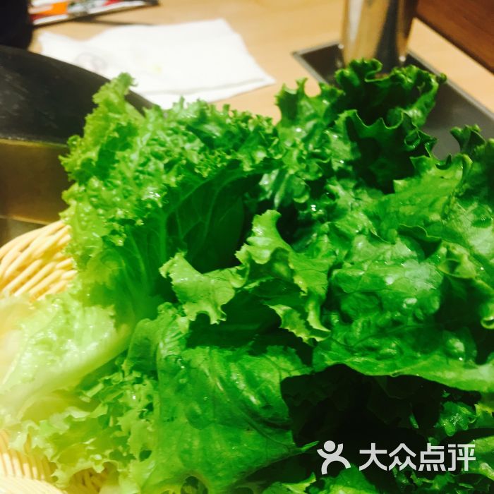生菜