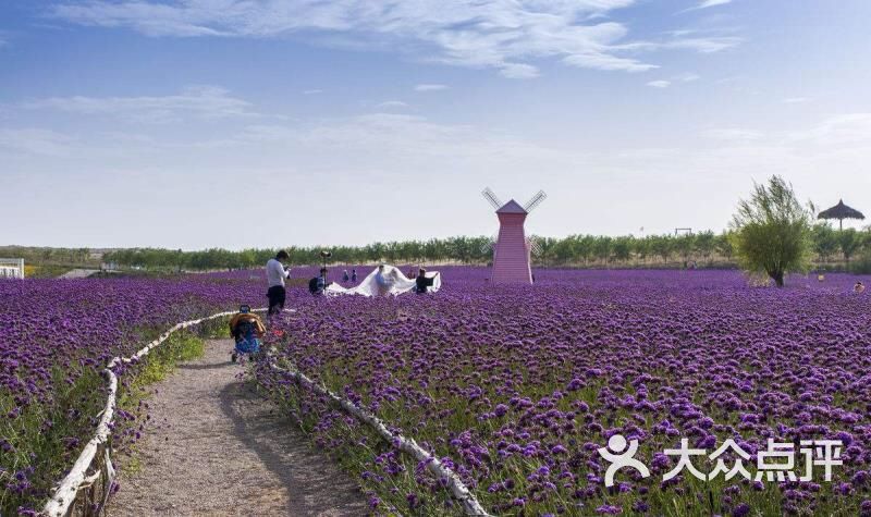 郑州普兰斯薰衣草庄园评论图片