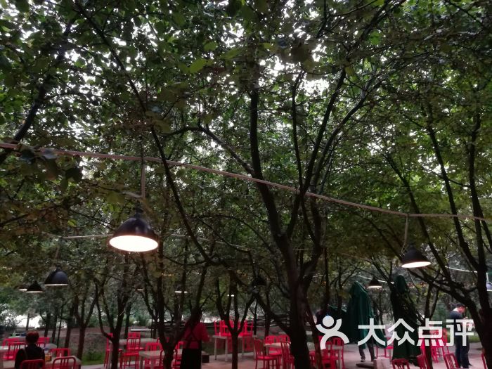 月上海棠图片 - 第3张