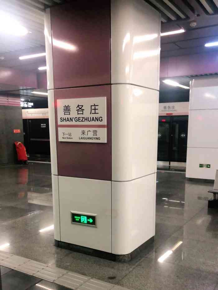 善各庄(地铁站)-"我觉得我可能上辈子是一头猪,啊啊啊[胜利.