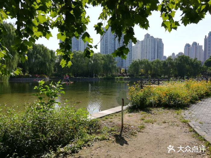 望湖公园-图片-北京周边游-大众点评网