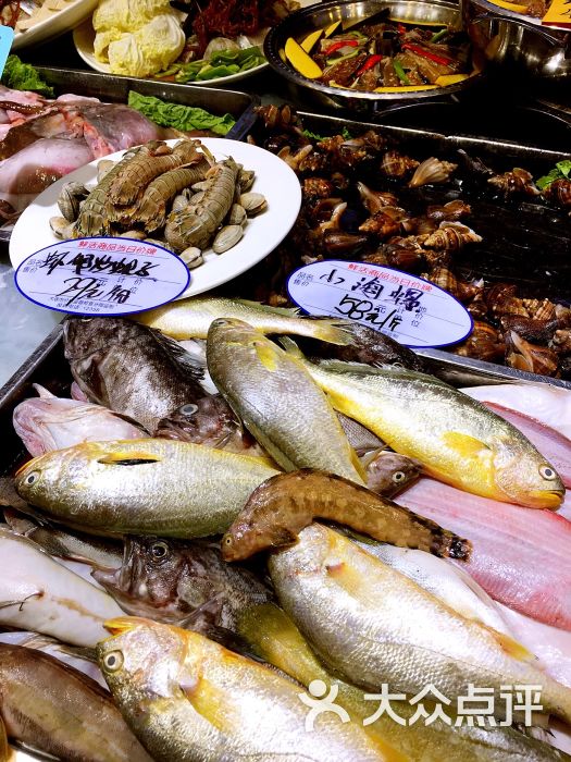 日月明小渔村图片 - 第9张