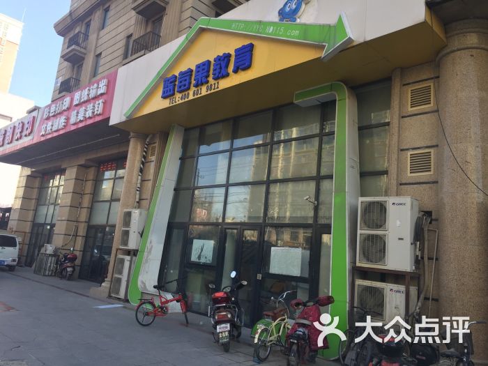 蓝莓果教育-图片-北京生活服务