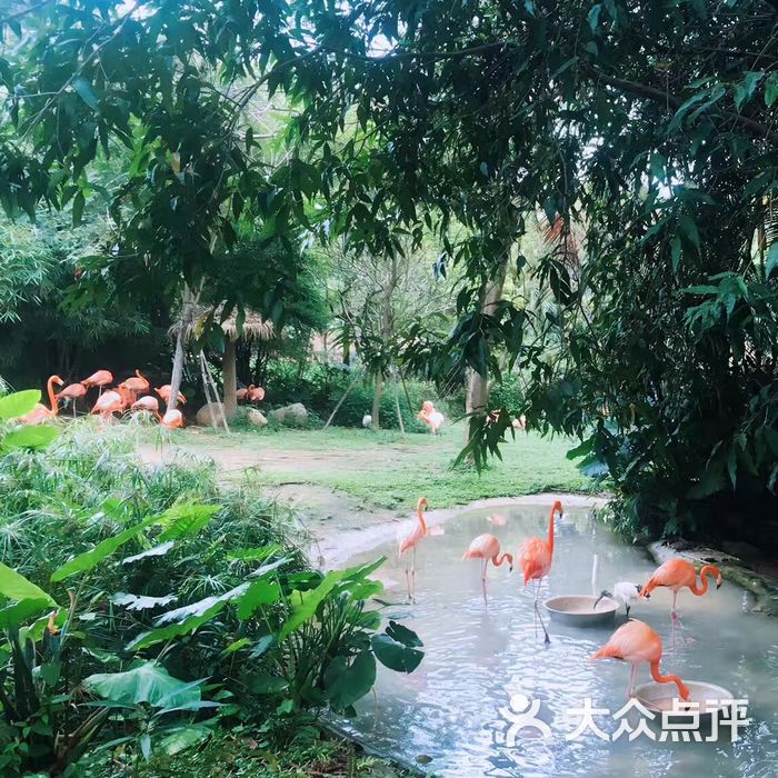 深圳野生动物园