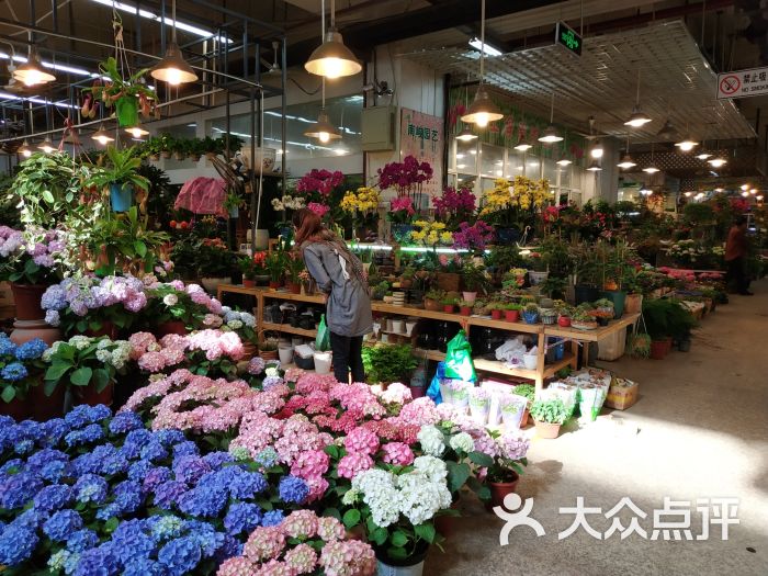 双季花艺园艺市场(浦东花鸟市场店)图片 - 第6张