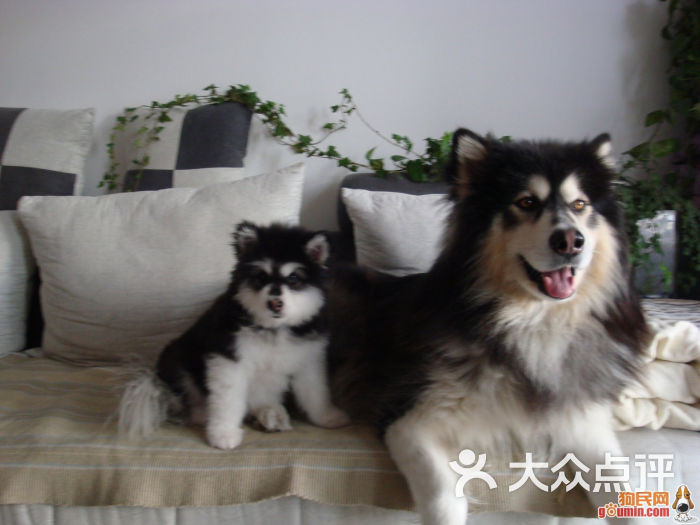 南宁鼻翼缩小手术大概多少钱-广西武警美容机