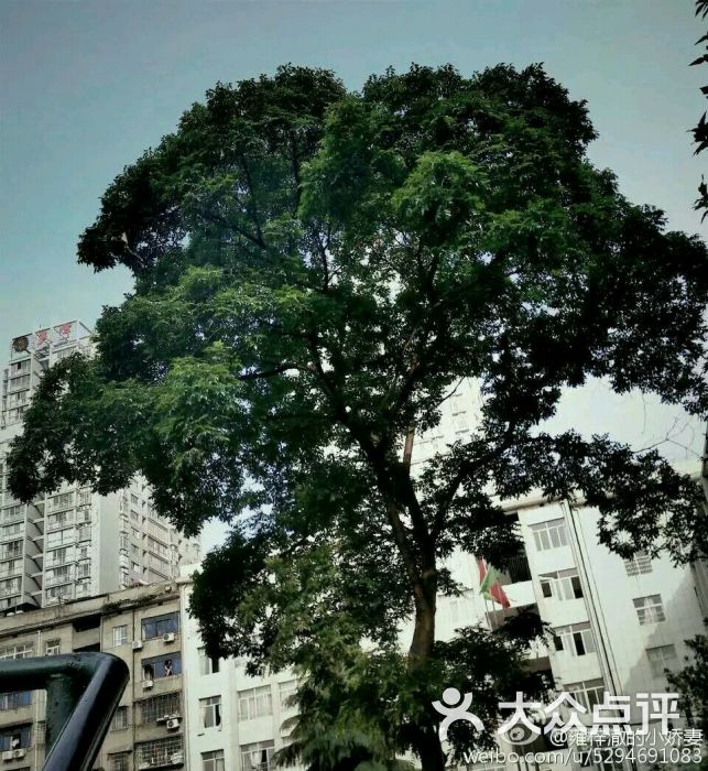 冷水江市第二中学图片 - 第5张