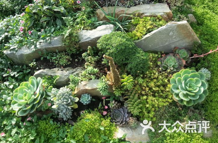 海蒂的花园-图片-成都生活服务-大众点评网