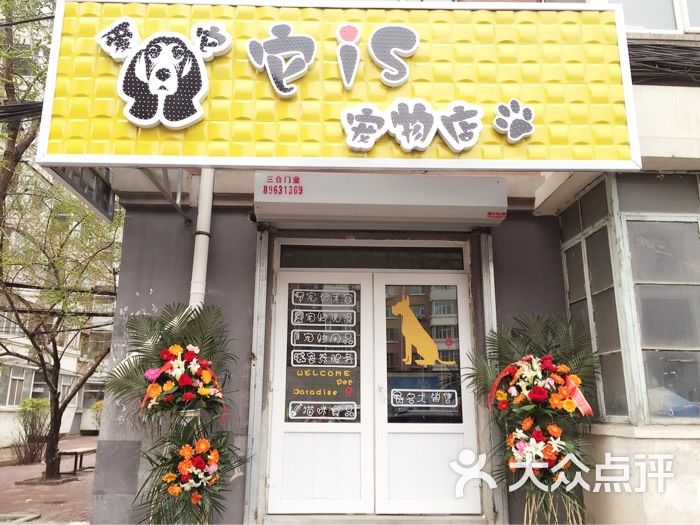 它is朋友宠物店pic图片 - 第1张