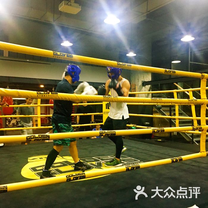 金手套拳击馆golden gloves boxing gym