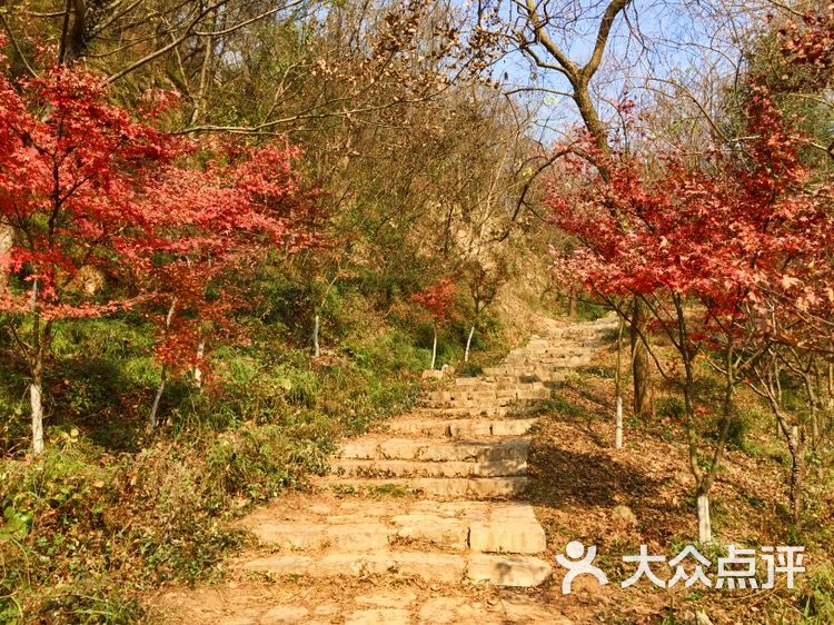 栖霞山名胜风景区图片 - 第4张