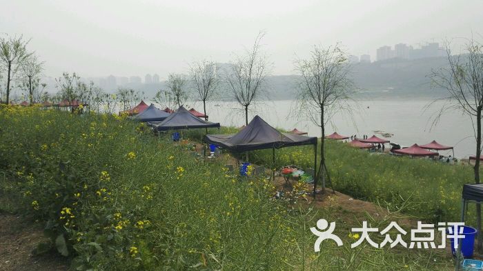 巴滨路梅沁绿洲b区烧烤基地图片 - 第4张