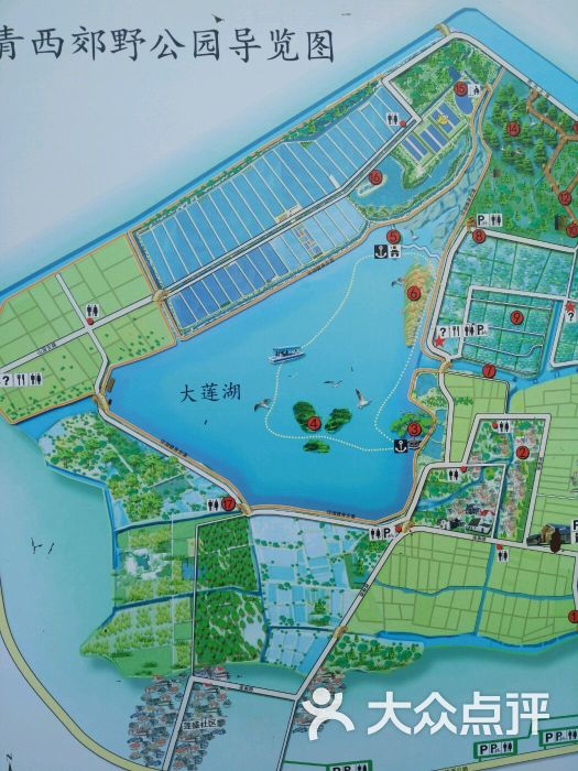青西郊野公园图片 - 第380张