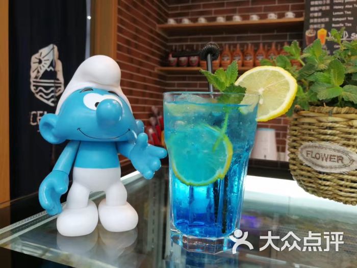 蓝柑薄荷